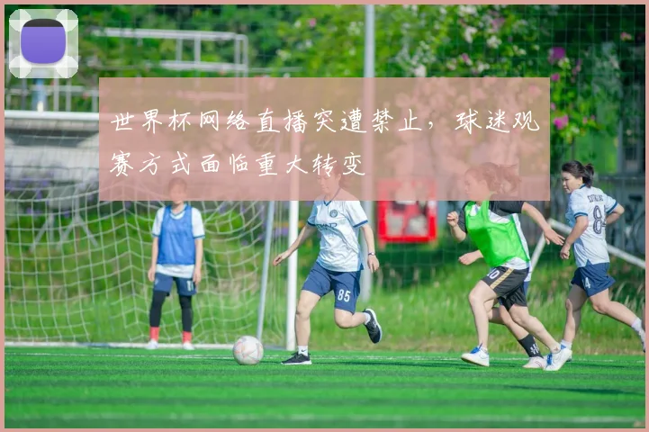 世界杯网络直播突遭禁止,球迷观赛方式面临重大转变