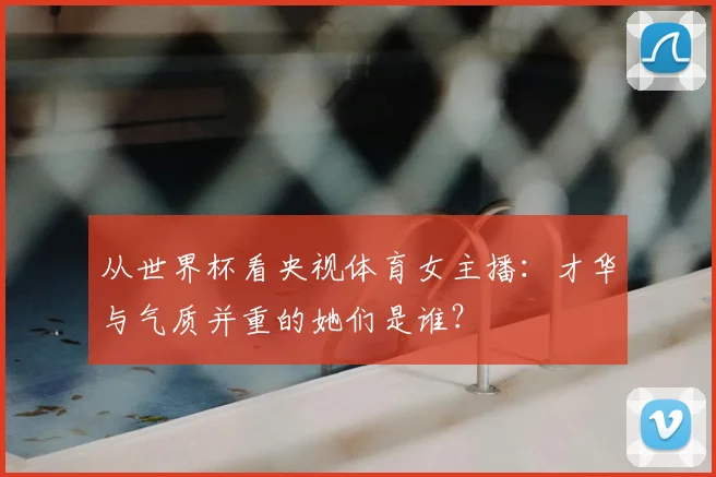 从世界杯看央视体育女主播：才华与气质并重的她们是谁？