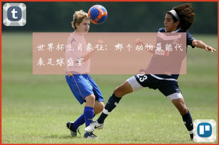 世界杯生肖象征:哪个动物最能代表足球盛宴
