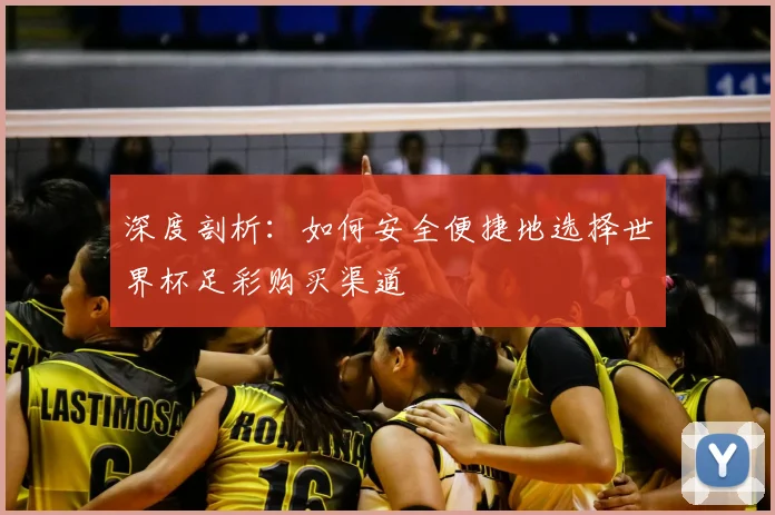 深度剖析：如何安全便捷地选择世界杯足彩购买渠道