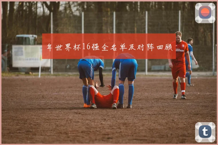 年世界杯16强全名单及对阵回顾