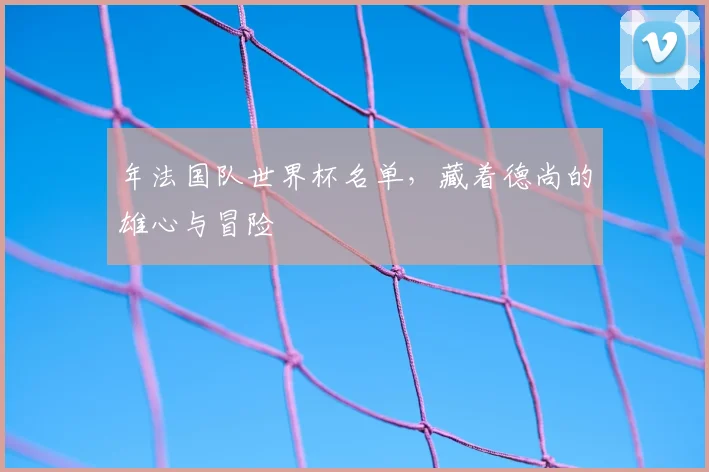 年法国队世界杯名单,藏着德尚的雄心与冒险