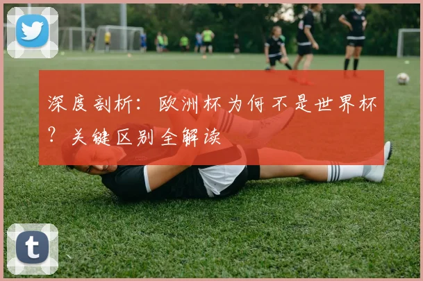 深度剖析：欧洲杯为何不是世界杯？关键区别全解读