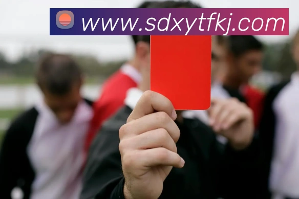 emc易倍官方官网平台生态图